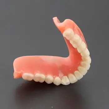 Образователна модел за изучаване на зъбите Overdenture Inferior 4 Импланти Demo Model
