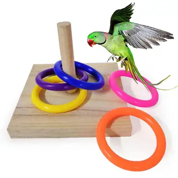 Обучение домашни птици, Папагал, Дървена дъска, пластмасов пръстен, тренировочная контур, играчка за дъвчене